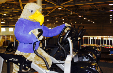 Golden Eagle on fitness equip